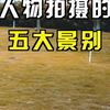 干货在哪里？看这！人物拍摄的5种景别（远景，全景，中景，近景，特写）怎么拍
