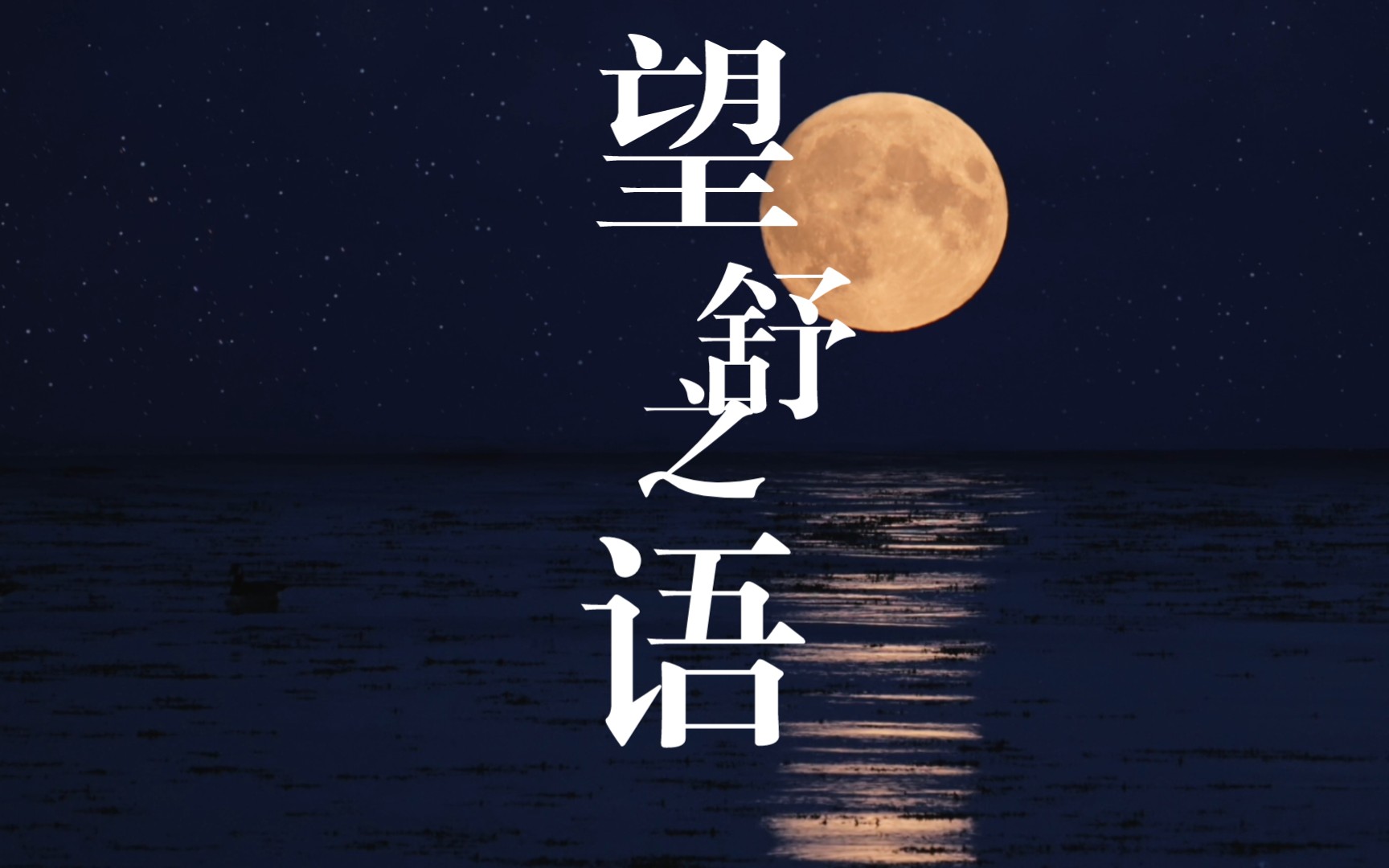 世界公认最佳放松轻音乐｜望舒之语｜树林自然音乐｜白噪音｜睡眠｜学习｜工作｜冥想｜失眠｜催眠