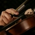 卡农-小提琴完美版，超好听！！