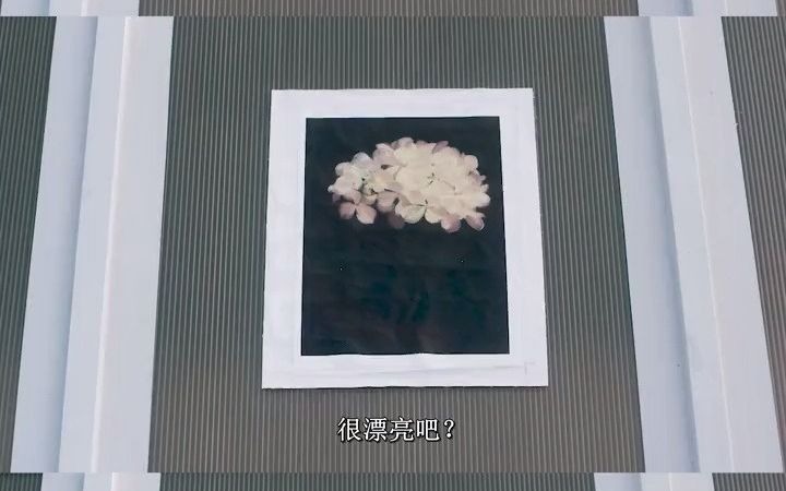禁忌女孩娜诺不喜欢花尤其是白玫瑰她不喜欢花尤里最后却让她躺在花堆