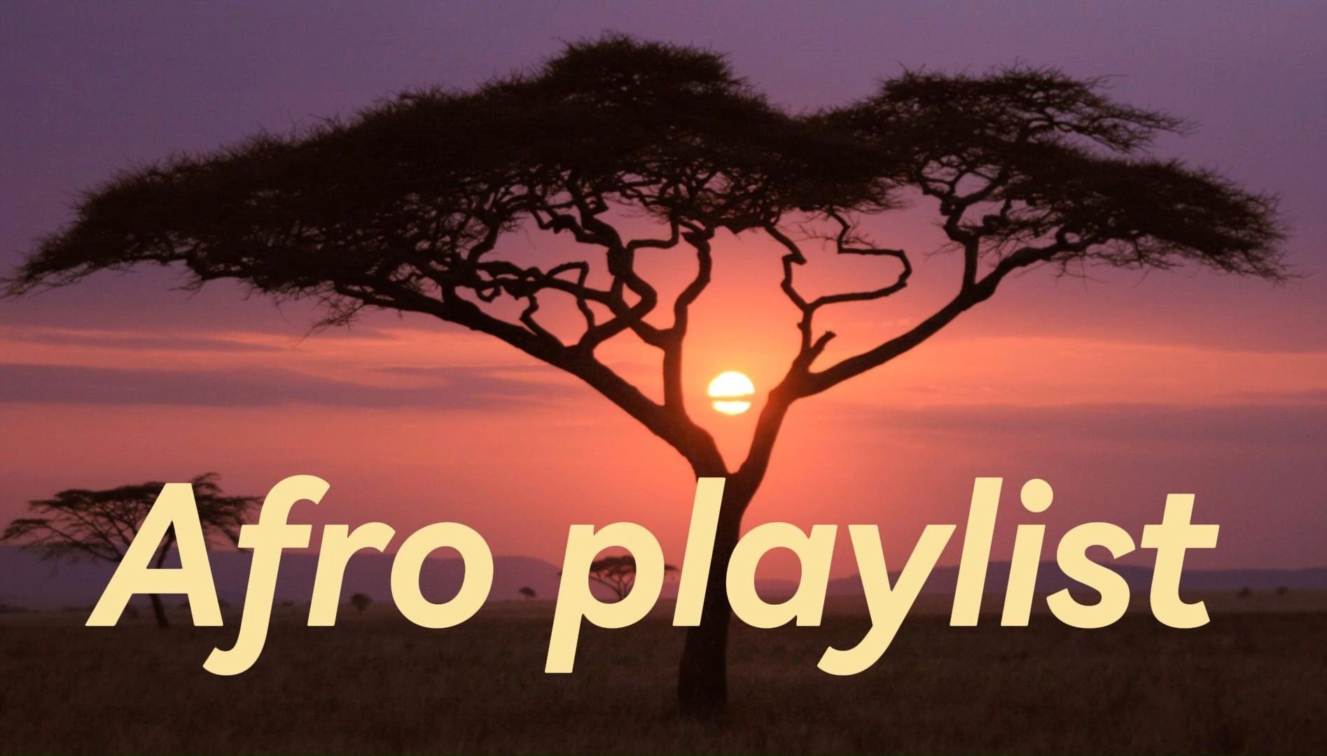 【playlist】Afro风格歌单 ♫ 第2弹 | 自由蔓延的生命力 | 放松 工作 通勤