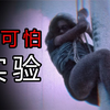 揭秘人类做过的，令人不安的实验第3期