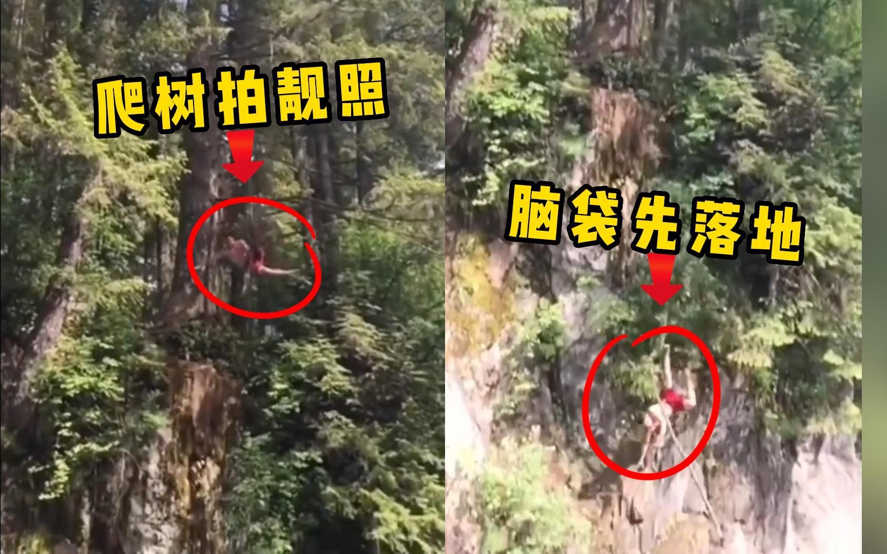 小伙爬大树拍靓照，头朝下坠下几十米悬崖，太惨了