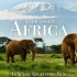 【4K】非洲动物 - 风景休闲放松影片