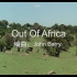 经典电影配乐《走出非洲》感受非洲大草原的壮阔雄伟。