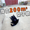 小黑：我黑旋风又回来啦！小猫适应新环境全记录