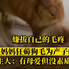 兔妈妈嫌拔自己的毛疼，狂薅狗毛为兔宝宝做窝！主人：挺有母爱但没啥素质