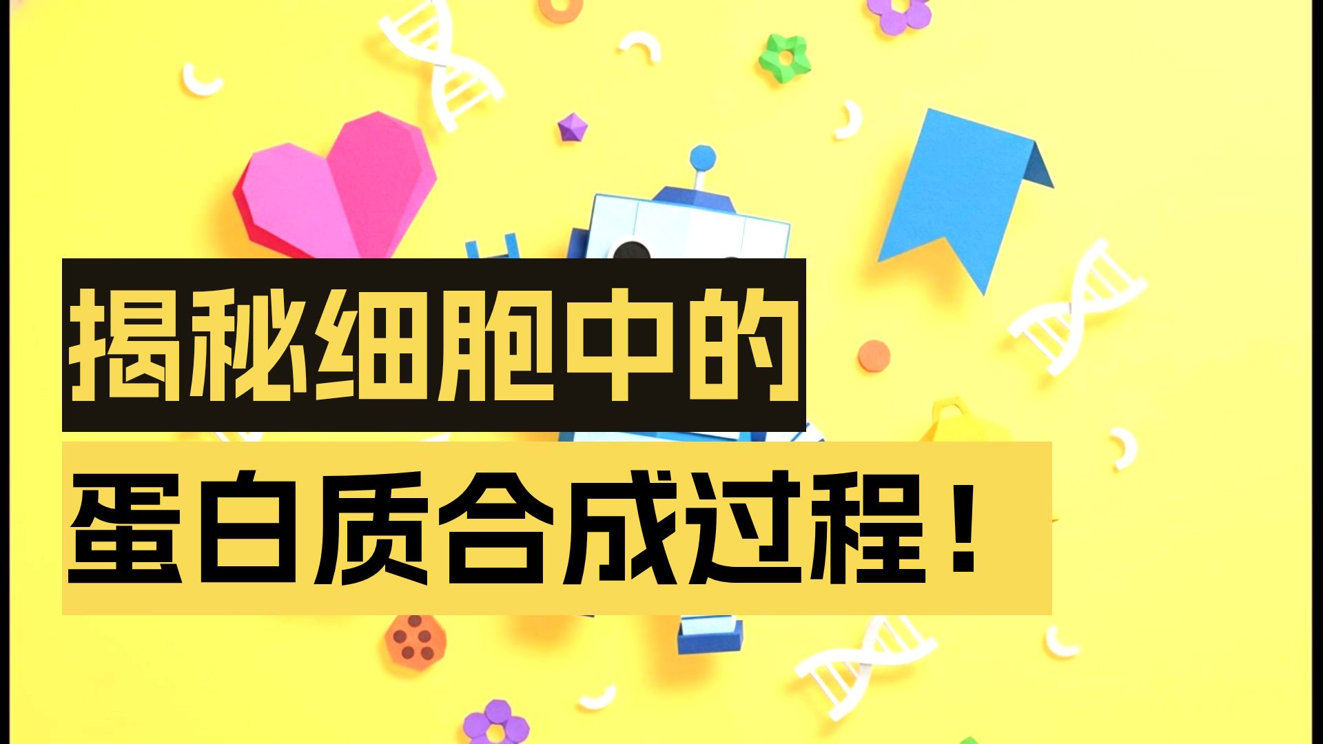 12_3从编码到创造：翻译的故事