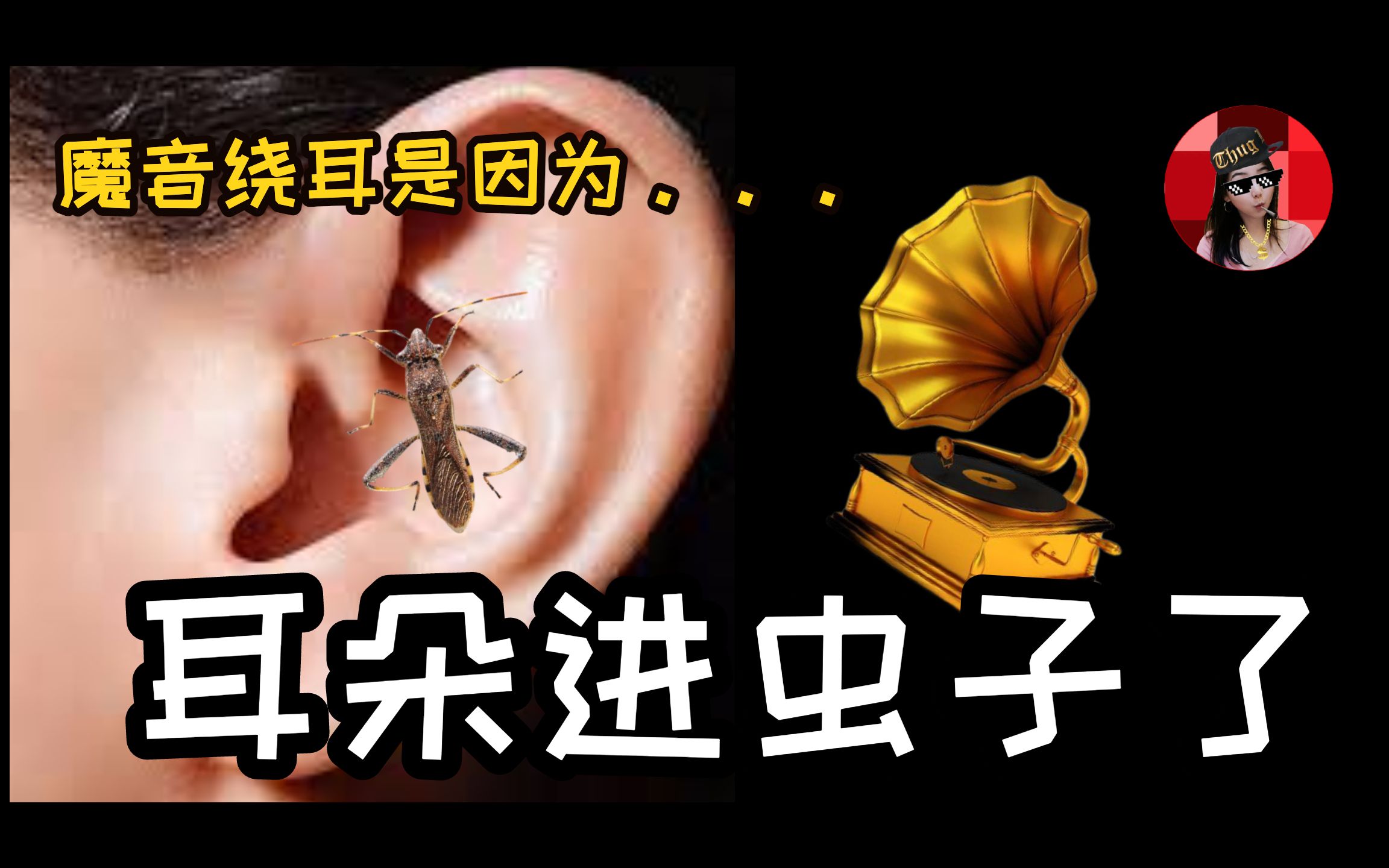 洗脑神曲单曲循环竟然是虫子进了耳朵揭秘耳虫