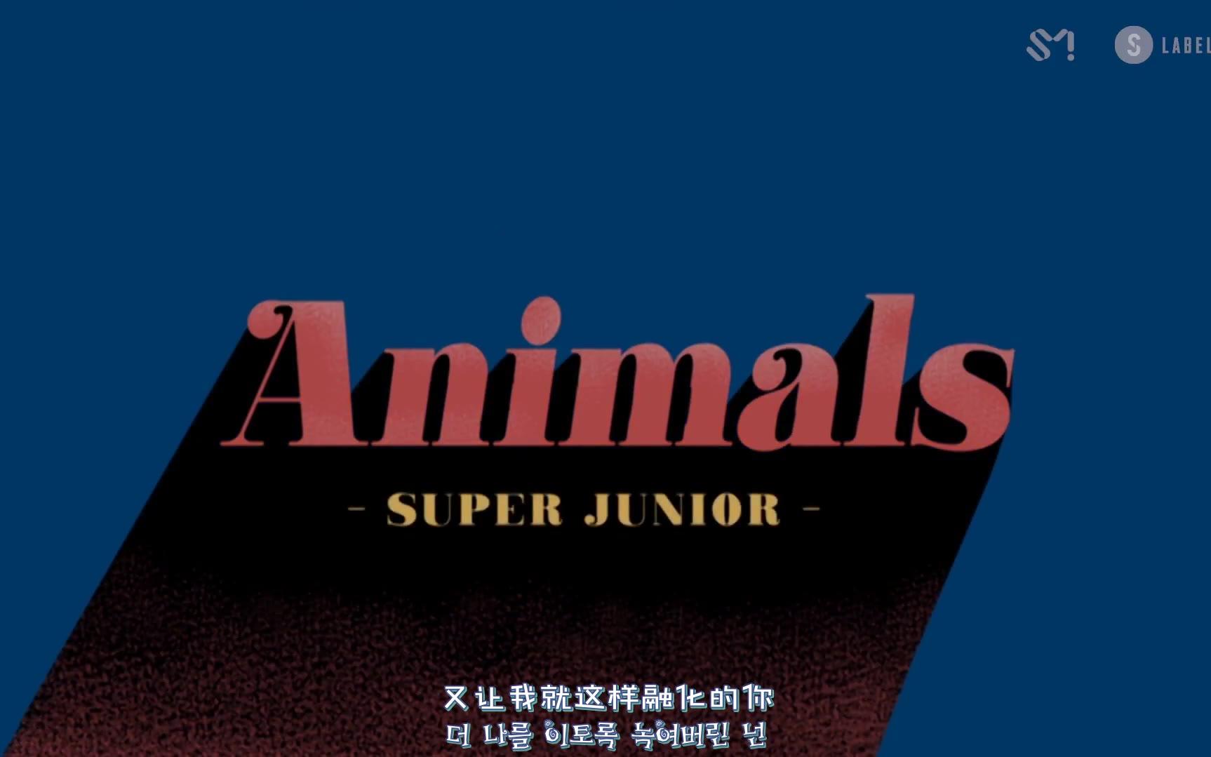 SUPER JUNIOR dévoile le MV de « Animals » – K-GEN
