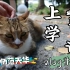 vlog#05丨上学手记！- 上海师范天华入学&日常 - 时七上大学啦！