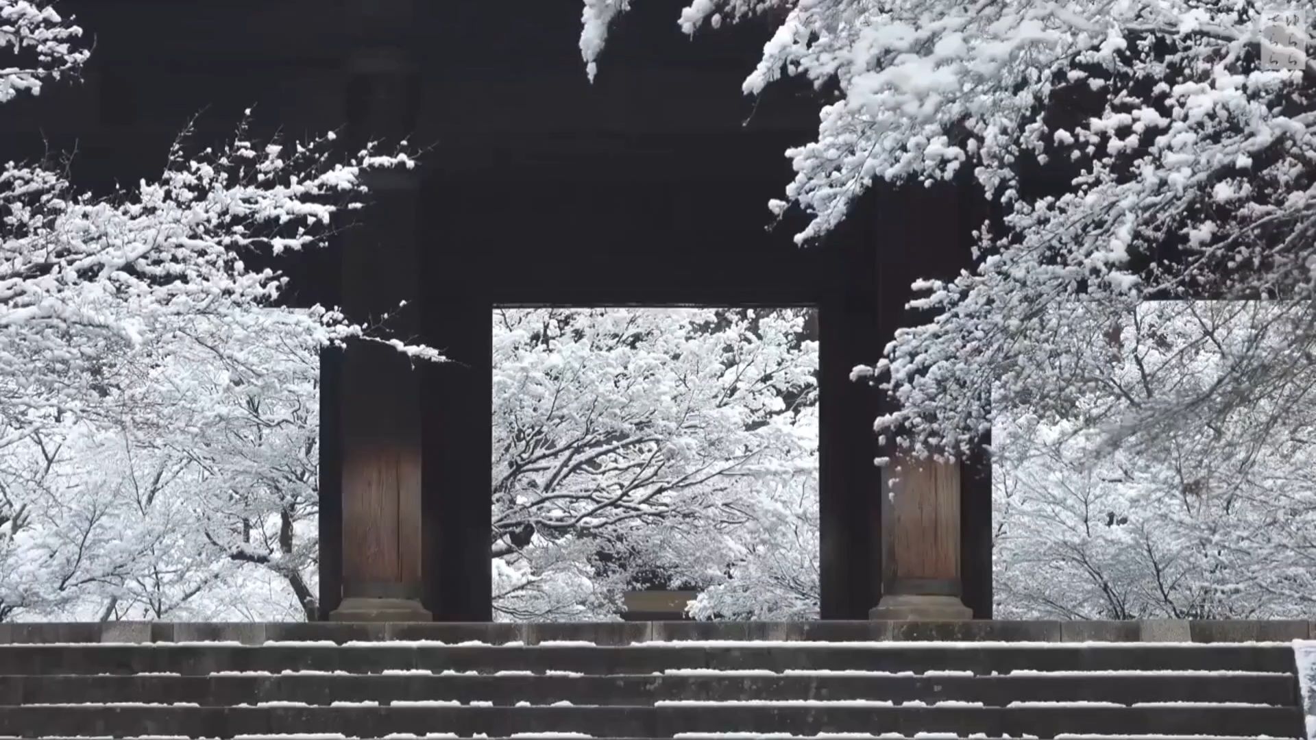 “寒灯纸上，梨花雨凉，我等风雪又一年”