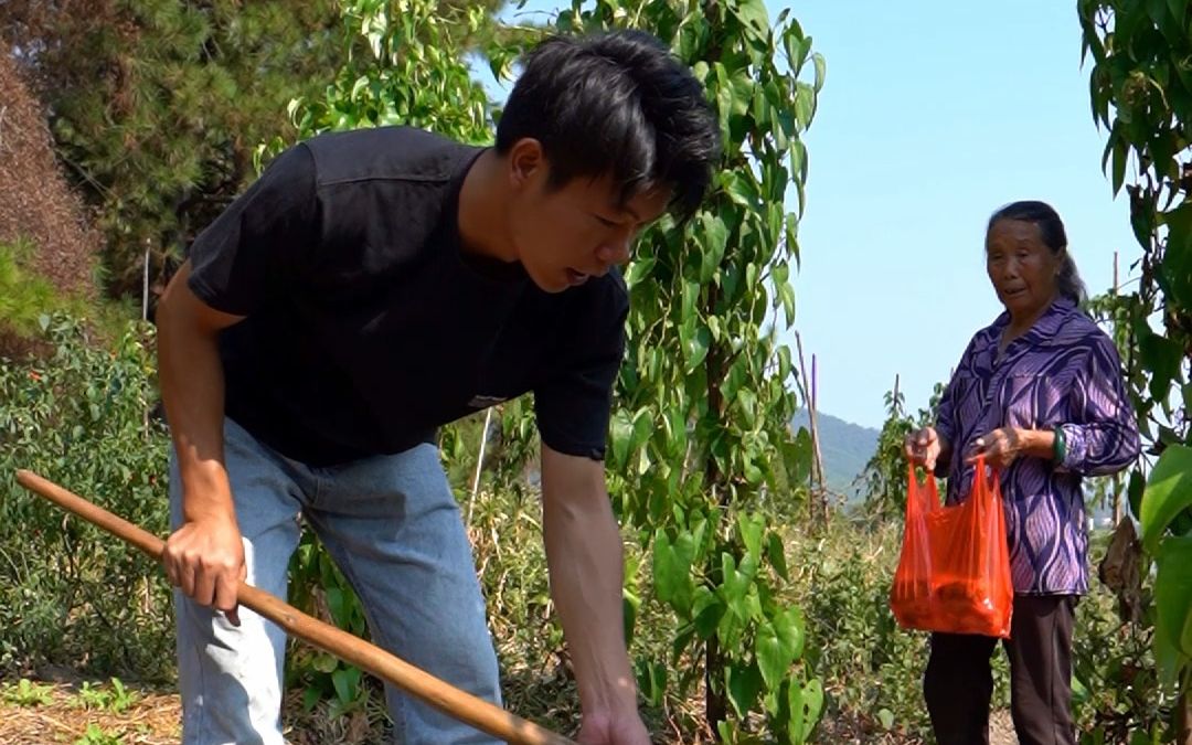 不在家的时候，总担心奶奶会一个人偷偷跑去地里忙活。今天果然被炜炜抓包了！虽然知道老人家都是闲不住的，但还是希望她们能好好在家享福。