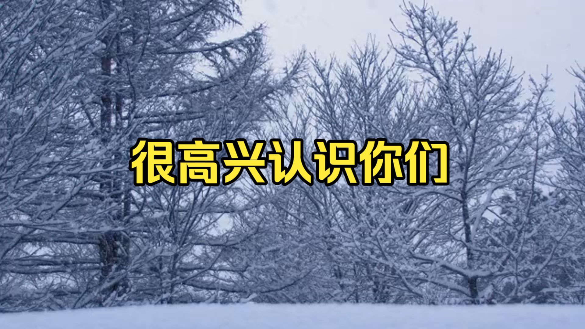 一个很特别的视频：很高兴认识你们