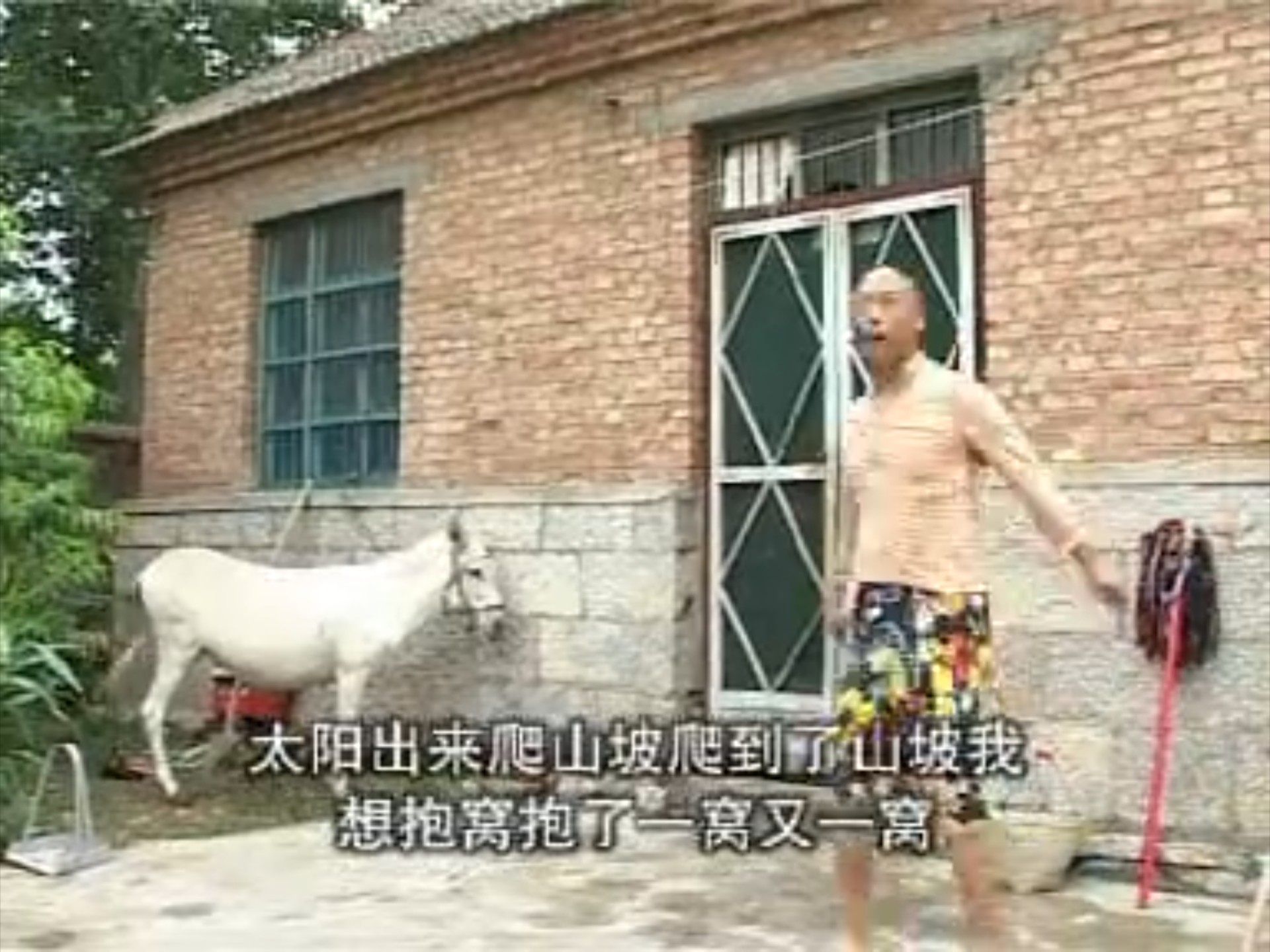 民间小调《刮驴脸》张芳 张丽 孟献礼 田明金 薛小香 刘素霞