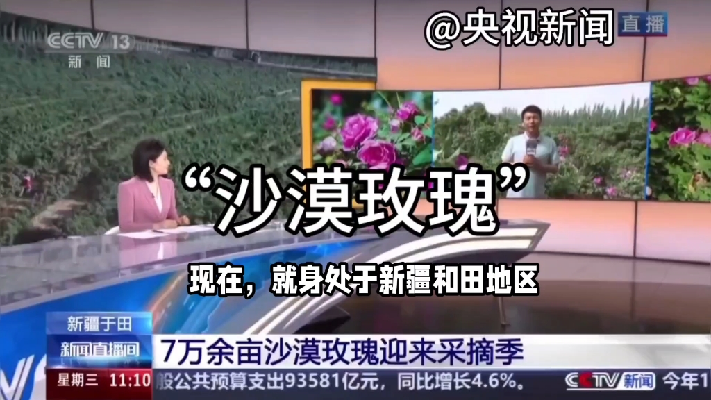 地理农业热点‖沙漠种植玫瑰的地理优势条件及意义?