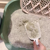 狗狗用猫砂上厕所