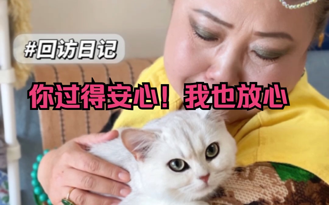 被领养走的猫咪!奶奶都希望生活的更好!哔哩哔哩bilibili