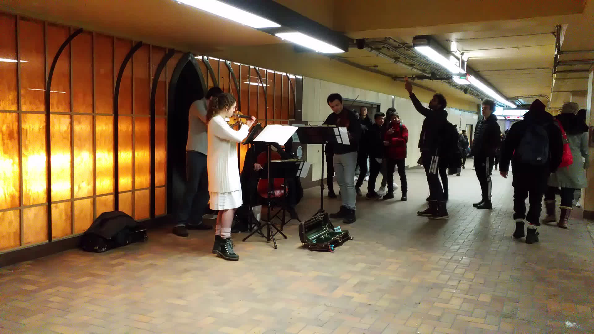小7带你吃喝玩购mtl——地铁站是个神奇的地方(1 )主播:沙漠猫7