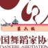 中国舞蹈家协会 第六级 （完整版）