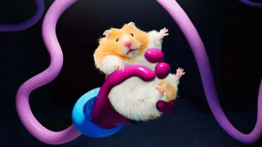 仓鼠王“必胜”来挑战《波比的游戏时间》，它能顺利通过吗？