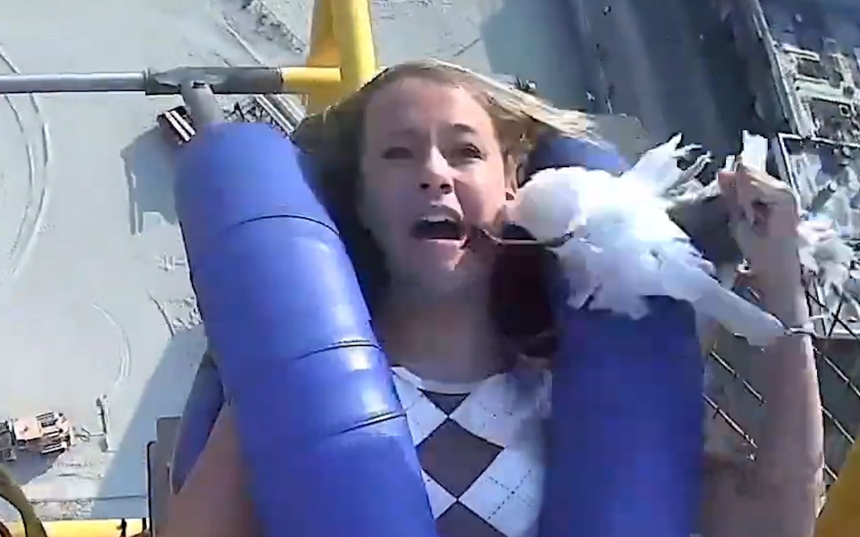 美国女孩玩项目以120kmh速度上升时 被突然出现的海鸥撞在脸上