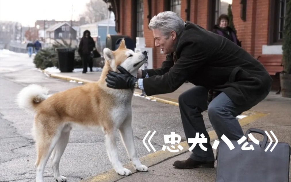 看哭无数网友的电影《忠犬八公》