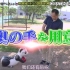 【日综】日本节目：爆笑！奶牛是熊猫？公园负责人错不承认，睁眼说瞎话！