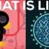 【Kur科普】埃博拉病毒解说--你的身体如何为生存而战（中英字幕）