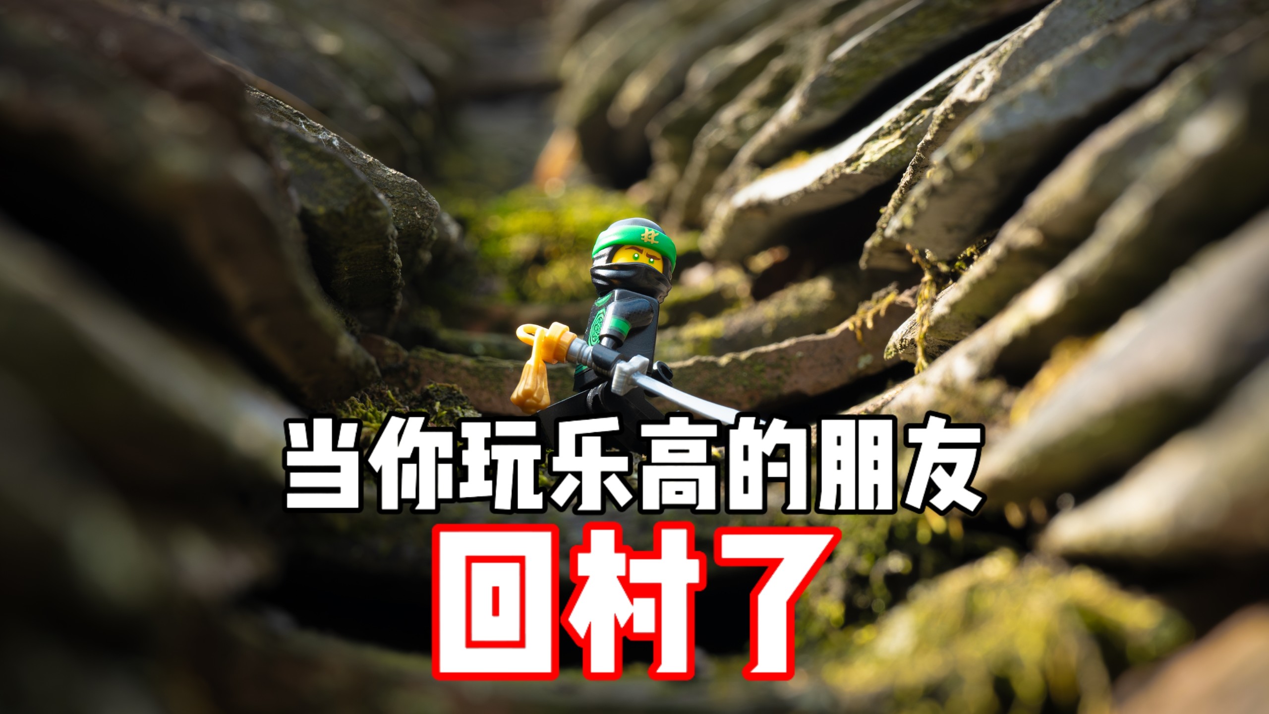 当你玩乐高的朋友回村了