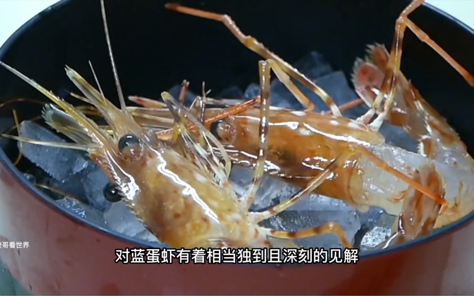 虾中的“劳斯莱斯”，每一只蓝蛋虾的处理必须在二十秒内完成，肉质无与伦比鲜甜