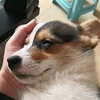 就喜欢妈妈抱着睡觉
