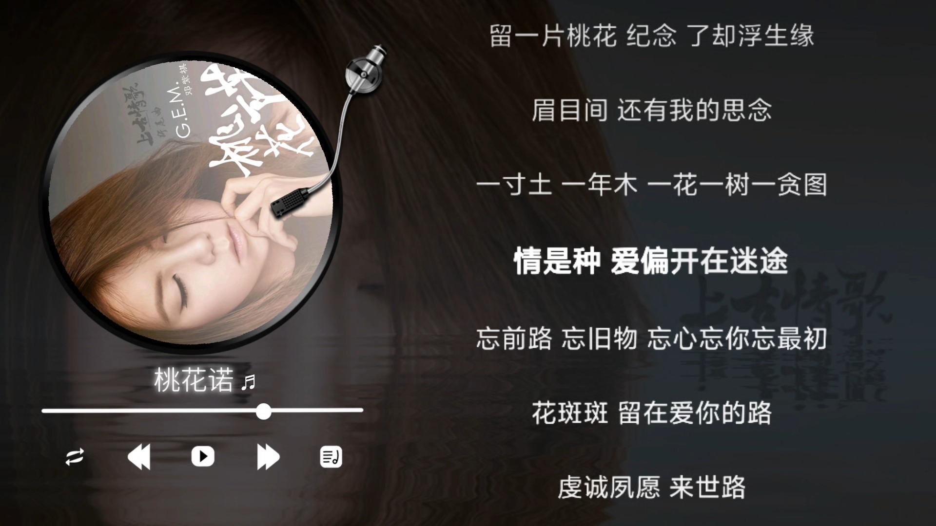 邓紫棋-桃花诺（伴奏）