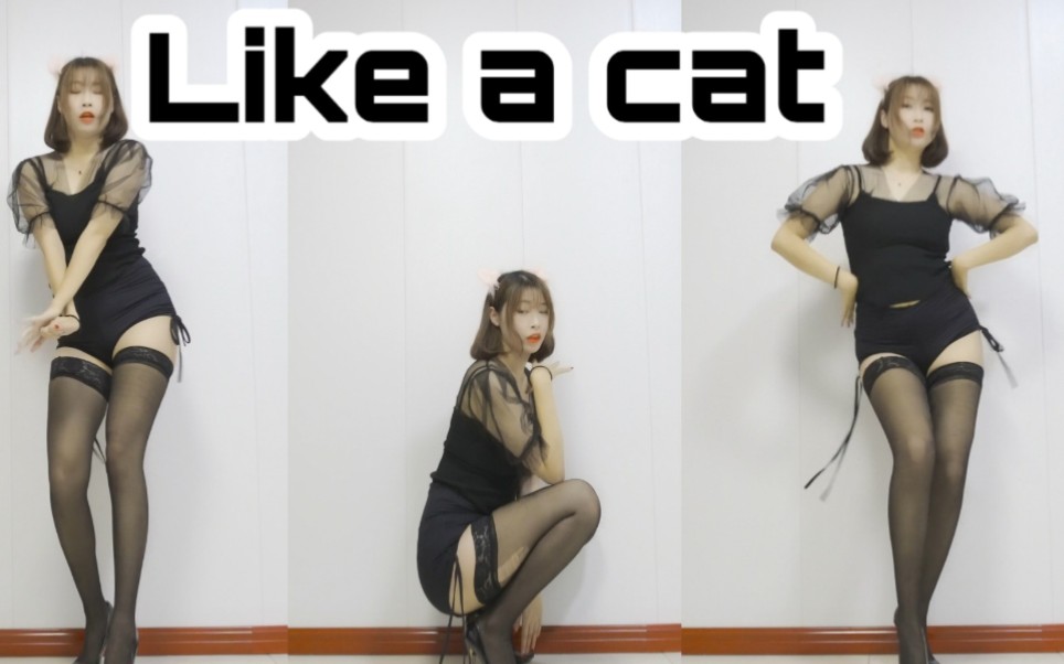 ♪ like a cat ♪ ♪ meow ♪