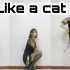 【座山雕】like a cat~喵~