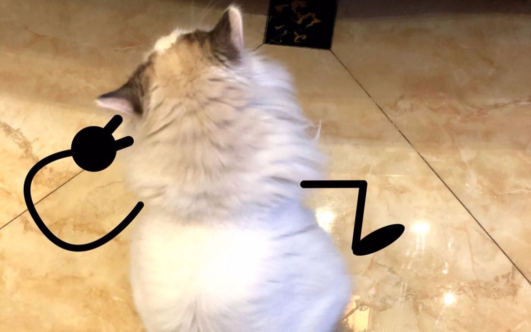 阿拉斯加的赌注第八季