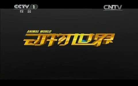 【动物世界】动物幽默大联盟(央视名嘴实力卖萌)
