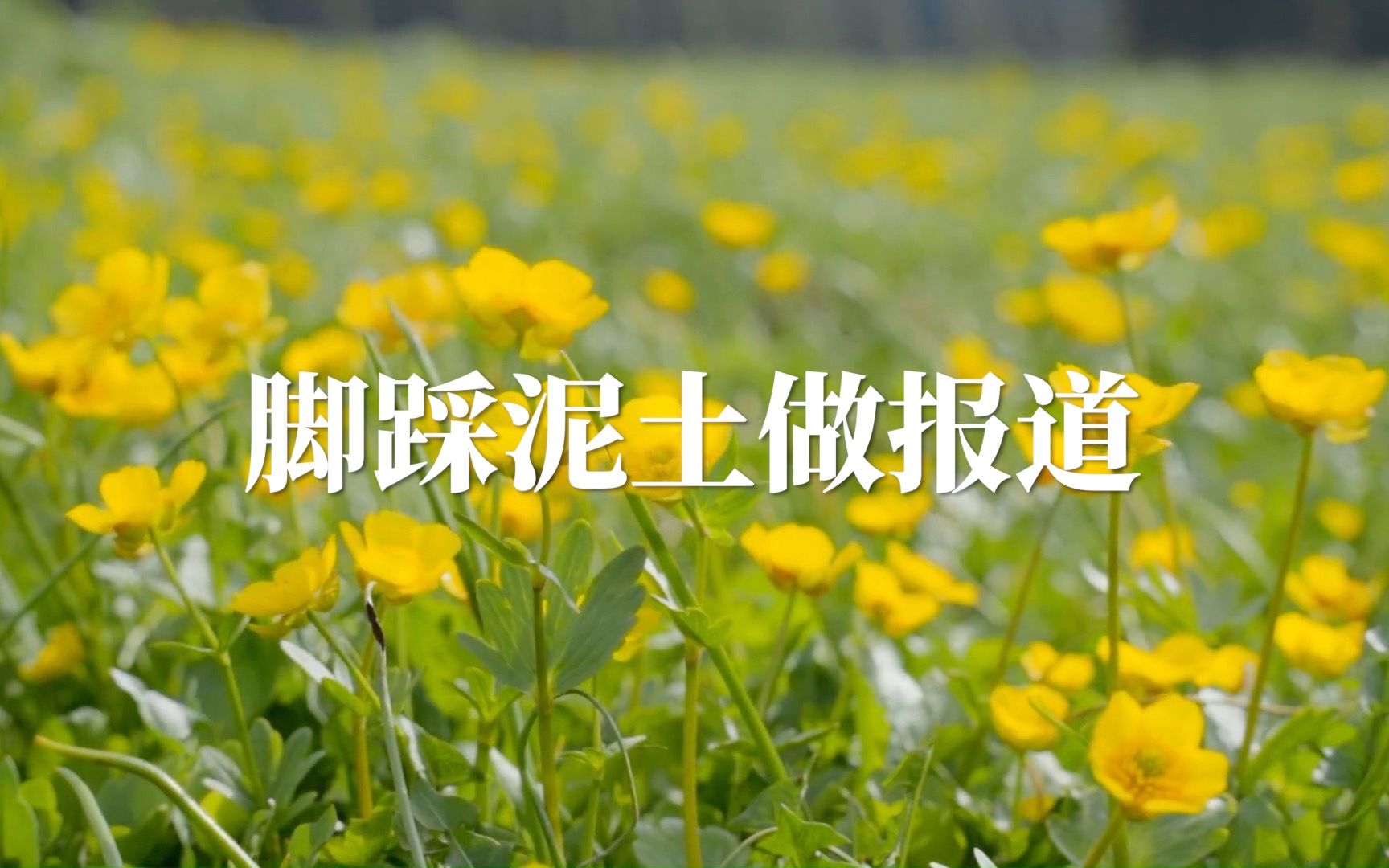 中国新闻传播大讲堂｜脚踩泥土做报道