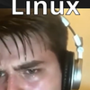 Windows与Linux下载浏览器对比