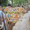 很久之前，上海迪士尼快速通道是免费的