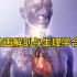 【医学科普】3D动画解剖与生理学合集4
