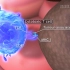 （中文字幕）【Nature】3D动画演示免疫系统如何破坏肿瘤细胞以及最新免疫疗法