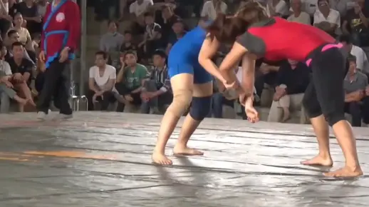 女子摔跤肉搏大战