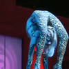 Zlata Contortion