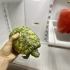 【每日药闻】把你的宠物乌龟放进冰箱可以模拟冬眠 @柚子木字幕组