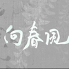 【动态歌词排版|向春风】“走江南独留半阙唱段，你在天涯那端与谁相见欢”———《向春风》陈亦洺/尚辰
