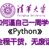 【整整600集】2025最全最细自学Python全套教程，逼自己一周学完，从零基础小白到精通Python全栈只要这套就够了！全程干货！包含爬虫+数据分析教程