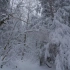 『雪景』一个人在雪中漫步，治愈风景
