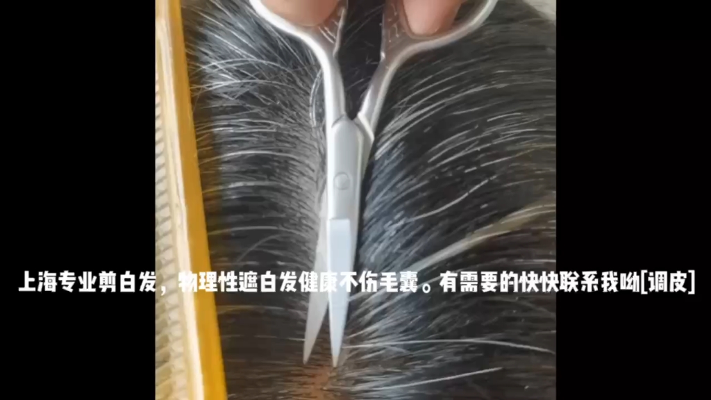 上海专业上门剪白发拔白发，告别告别有白发的烦恼，冲冲冲