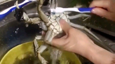 实不相瞒活了30年，第一次见到这样洗螃蟹